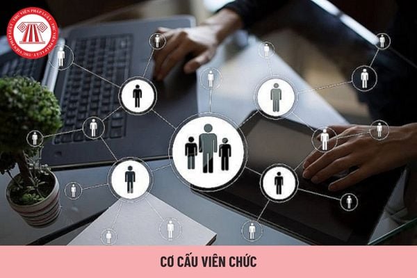 Xác định cơ cấu viên chức theo chức danh nghề nghiệp căn cứ vào đâu?