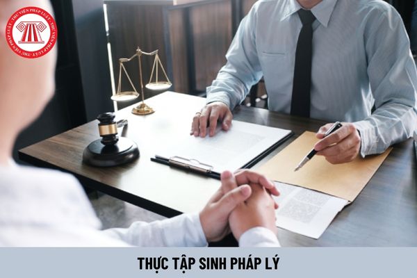 Thực tập sinh pháp lý phải làm những công việc gì? Có được nhận lương không?