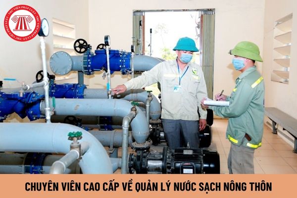 Chuyên viên cao cấp về quản lý nước sạch nông thôn có quyền gì?