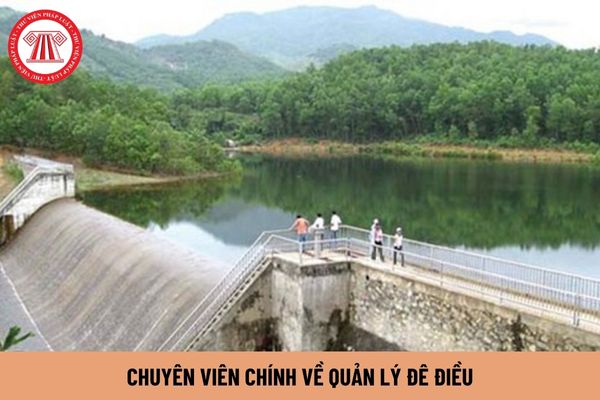 Chuyên viên chính về quản lý đê điều phải có trình độ đào tạo như thế nào?