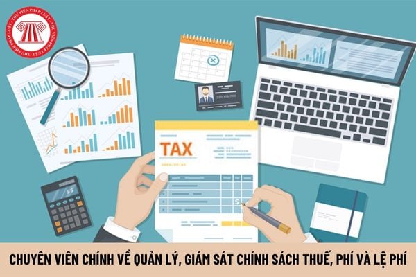 Chuyên viên chính về quản lý, giám sát chính sách thuế, phí và lệ phí có quyền hạn gì?