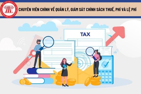 Chuyên viên về quản lý, giám sát chính sách thuế, phí và lệ phí phải có năng lực ra sao?