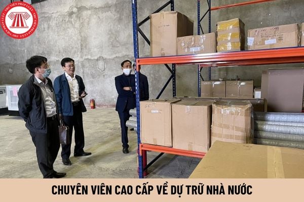 Chuyên viên cao cấp về dự trữ nhà nước phải có trình độ đào tạo như thế nào?