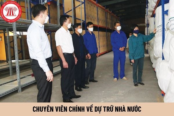 Chuyên viên chính về dự trữ nhà nước có quyền hạn gì?