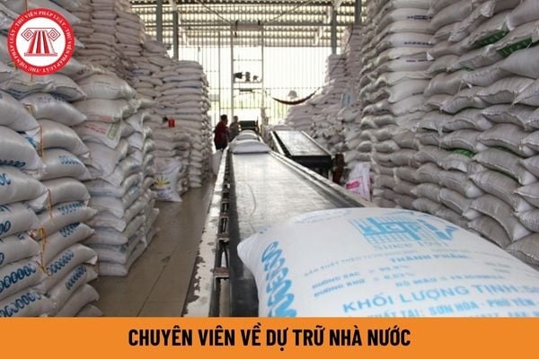 Chuyên viên về dự trữ nhà nước yêu cầu phải có năng lực ra sao?