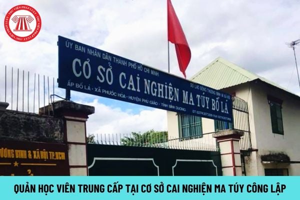 Quản học viên trung cấp tại cơ sở cai nghiện ma túy công lập phải học ngành gì?