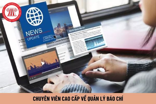 Chuyên viên cao cấp về quản lý báo chí yêu cầu có kinh nghiệm như thế nào?