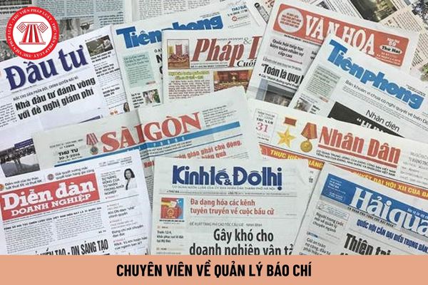 Chuyên viên về quản lý báo chí phải thực hiện những công việc gì?