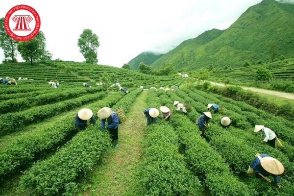 Điều kiện để lao động nông thôn nước ta hiện nay được vay vốn từ Quỹ quốc gia về việc làm là gì?