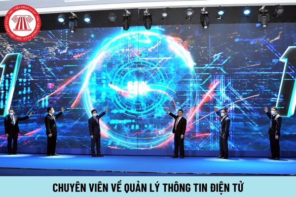 Chuyên viên về quản lý thông tin điện tử yêu cầu trình độ ra sao?