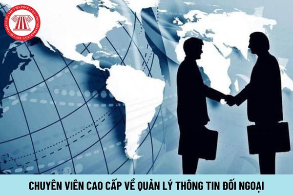 Chuyên viên cao cấp về quản lý thông tin đối ngoại phải thực hiện những công việc gì?