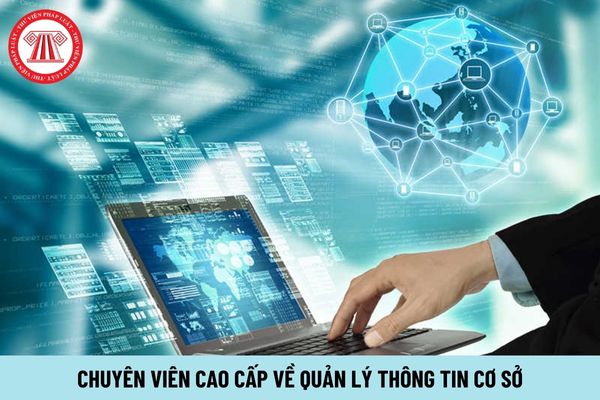 Chuyên viên cao cấp về quản lý thông tin cơ sở phải có trình độ đào tạo như thế nào?