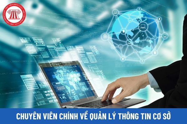 Yêu cầu về kinh nghiệm đối với chuyên viên chính về quản lý thông tin cơ sở là gì?