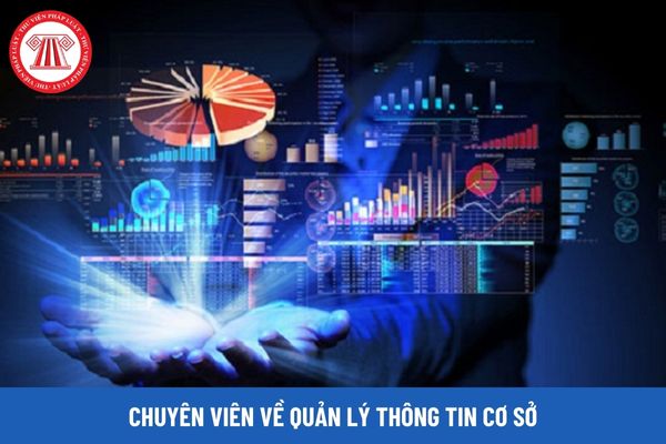 Chuyên viên về quản lý thông tin cơ sở phải thực hiện những công việc gì?