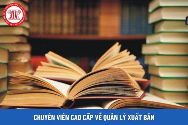 Chuyên viên cao cấp về quản lý xuất bản phải có trình độ ra sao?