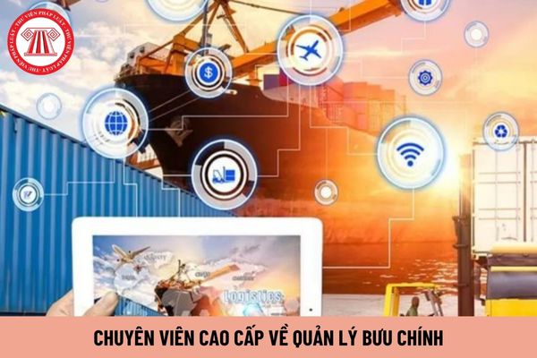 Chuyên viên cao cấp về quản lý bưu chính phải có năng lực ra sao?