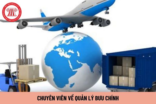 Chuyên viên về quản lý bưu chính yêu cầu có trình độ như thế nào?