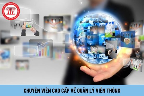 Chuyên viên cao cấp về quản lý viễn thông phải thực hiện những công việc gì?