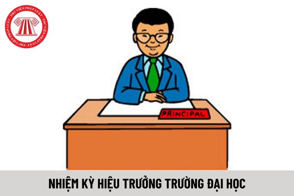 Hiệu trưởng trường đại học có nhiệm kỳ bao nhiêu năm?