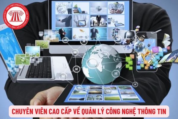 Chuyên viên cao cấp về quản lý công nghệ thông tin yêu cầu có kinh nghiệm ra sao?