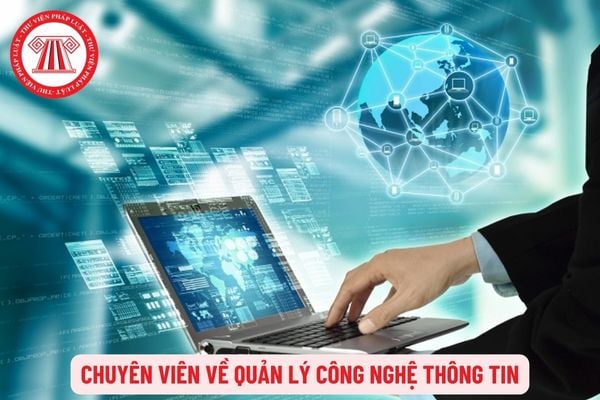 Chuyên viên về quản lý công nghệ thông tin phải thực hiện những công việc gì?