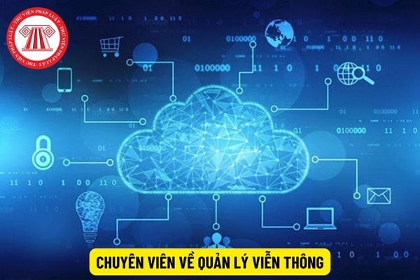 Công việc của chuyên viên về quản lý viễn thông là gì?