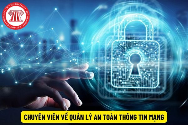 Chuyên viên về quản lý an toàn thông tin mạng yêu cầu có năng lực ra sao?