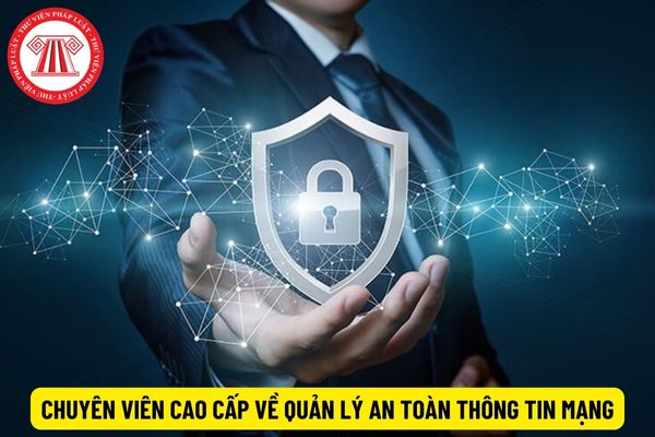 Chuyên viên cao cấp về quản lý an toàn thông tin mạng phải có năng lực thế nào?