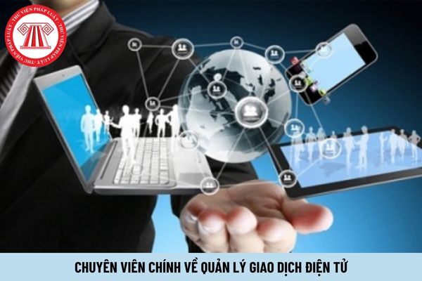 Chuyên viên chính về quản lý giao dịch điện tử phải có trình độ ra sao?