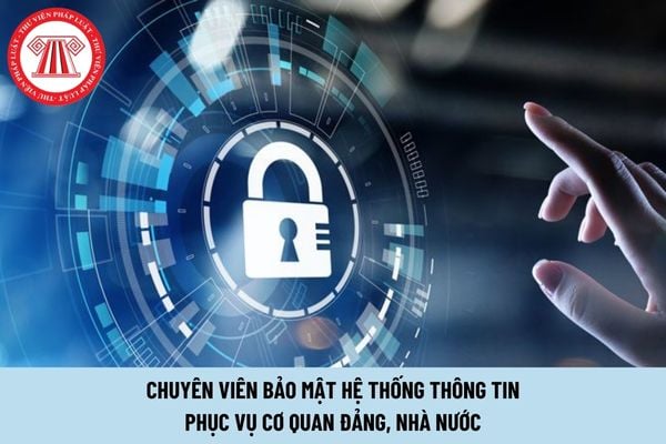 Tiêu chuẩn về trình độ đối với chuyên viên bảo mật hệ thống thông tin phục vụ cơ quan Đảng, Nhà nước thế nào?