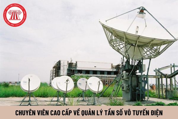 Chuyên viên cao cấp về quản lý tần số vô tuyến điện cần có trình độ như thế nào?