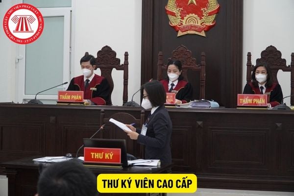 Học ngành gì mới được làm Thư ký viên cao cấp?