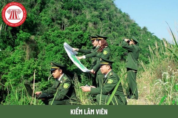 Mã số ngạch của Kiểm lâm viên là bao nhiêu?