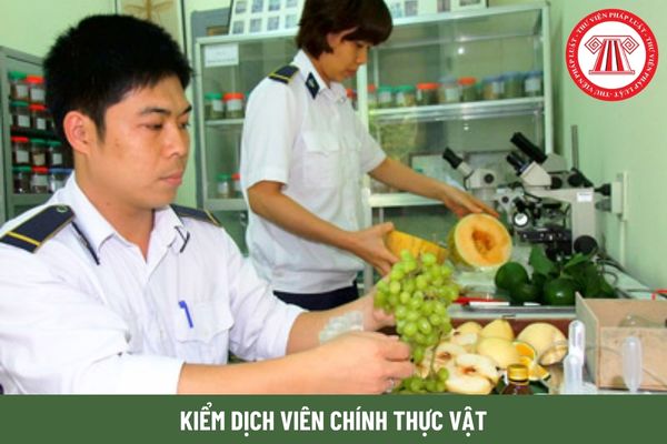 Kiểm dịch viên chính thực vật có hệ số lương bao nhiêu?