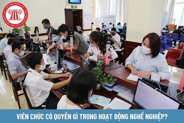 Viên chức có quyền gì trong hoạt động nghề nghiệp?