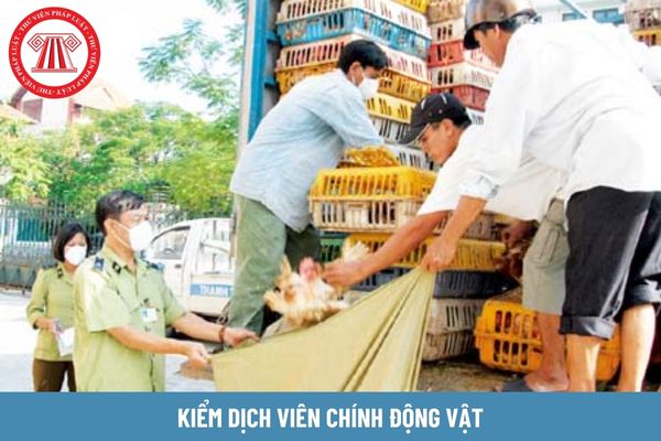 Kiểm dịch viên chính động vật có hệ số lương bao nhiêu?