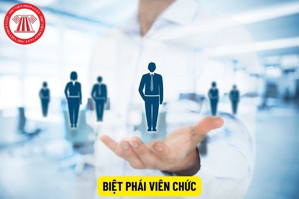 Thời hạn cử biệt phái viên chức là bao lâu?