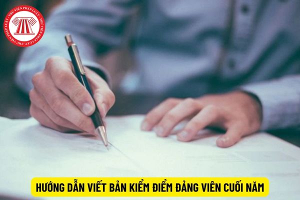 Hướng dẫn viết mẫu 2B Bản kiểm điểm Đảng viên cuối năm 2023 dành cho cán bộ, công chức, viên chức?