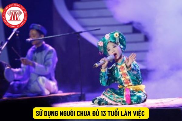 Gửi hồ sơ đề nghị việc sử dụng người chưa đủ 13 tuổi làm việc bằng hình thức gì?