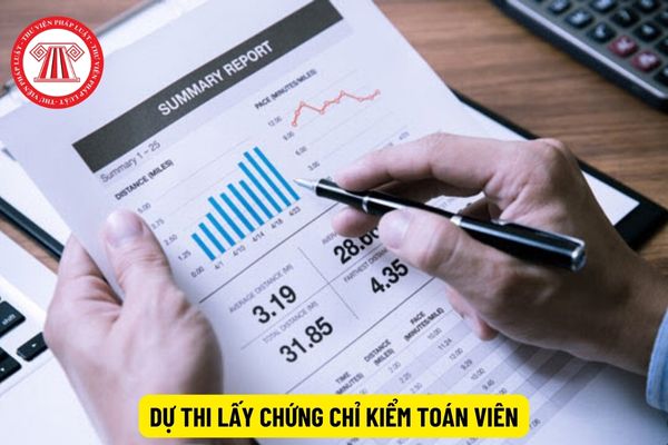 Kê khai không đúng thông tin dự thi lấy Chứng chỉ kiểm toán viên bị phạt gì?