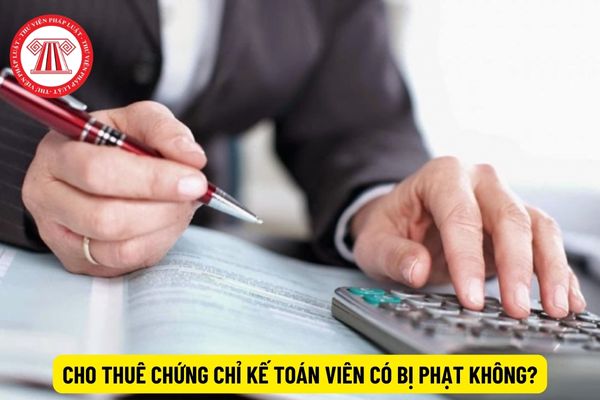 Cho thuê chứng chỉ kế toán viên có bị phạt không?