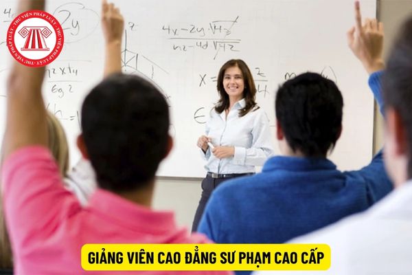 Phải có bằng cấp gì mới được làm giảng viên cao đẳng sư phạm cao cấp?