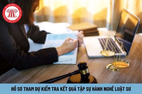 Hồ sơ tham dự kiểm tra kết quả tập sự hành nghề luật sư gồm những gì?