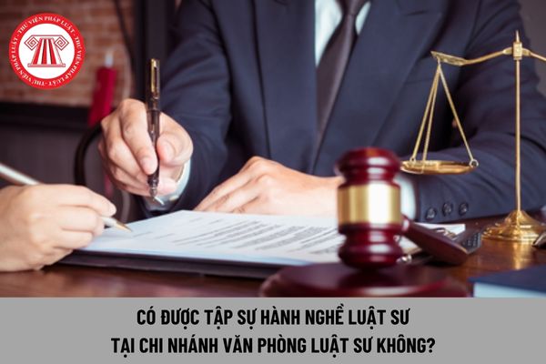 Có được tập sự hành nghề luật sư tại chi nhánh văn phòng luật sư không?