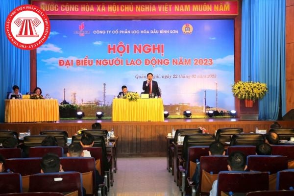 Người lao động có được tham gia ý kiến tại hội nghị người lao động không?