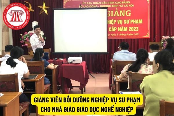 Giảng viên bồi dưỡng nghiệp vụ sư phạm cho nhà giáo giáo dục nghề nghiệp phải có trình độ thế nào?