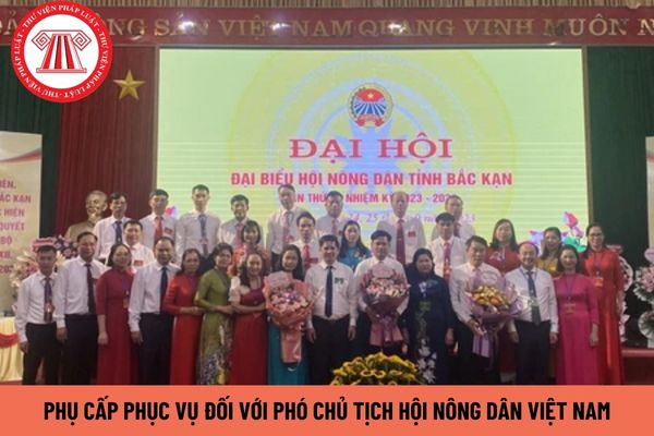 Phó Chủ tịch Hội Nông dân Việt Nam được hưởng bao nhiêu tiền phụ cấp phục vụ?