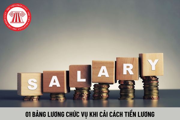 01 bảng lương chức vụ từ 1/7/2024 khi cải cách tiền lương áp dụng đối với những đối tượng nào?