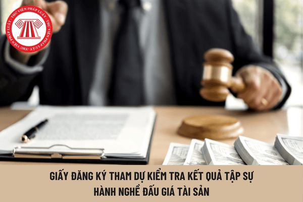 Mẫu Giấy đăng ký tham dự kiểm tra kết quả tập sự hành nghề đấu giá tài sản mới nhất hiện nay?