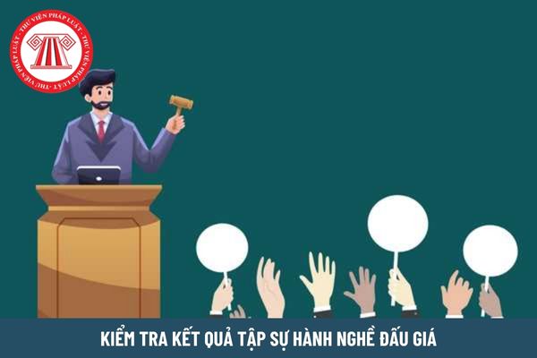 Kiểm tra kết quả tập sự hành nghề đấu giá gồm những nội dung gì?